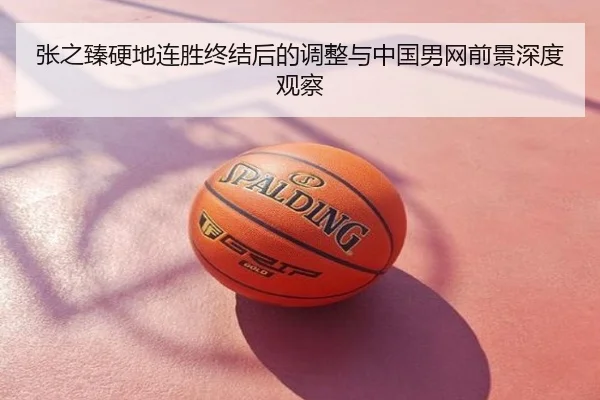 张之臻硬地连胜终结后的调整与中国男网前景深度观察