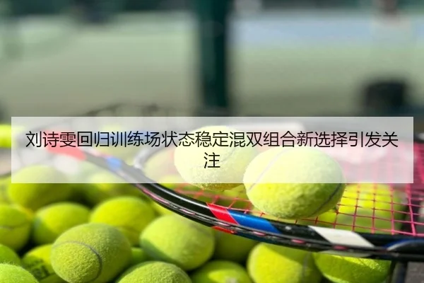 刘诗雯回归训练场状态稳定混双组合新选择引发关注
